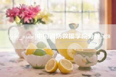 沅江中国消防救援学院分数2020