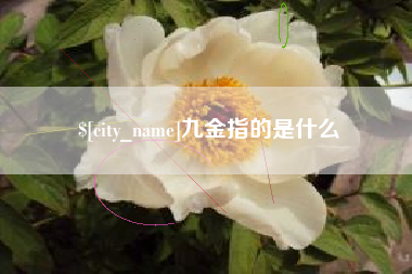 沅江九金指的是什么