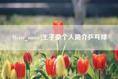 沅江王子豪个人简介乒乓球