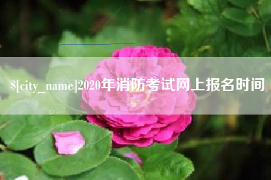 沅江2020年消防考试网上报名时间