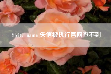 沅江失信被执行官网查不到