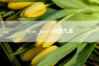 沅江中国九金