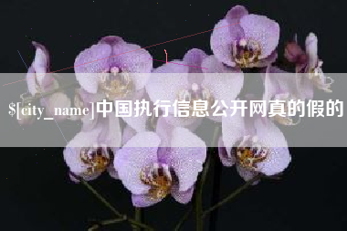沅江中国执行信息公开网真的假的