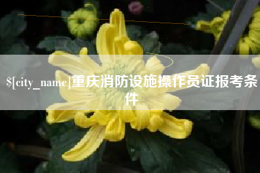沅江重庆消防设施操作员证报考条件