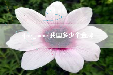 沅江我国多少个金牌