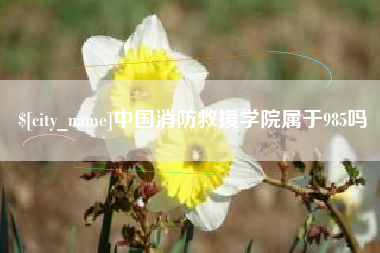 沅江中国消防救援学院属于985吗