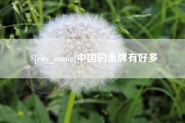 沅江中国的金牌有好多
