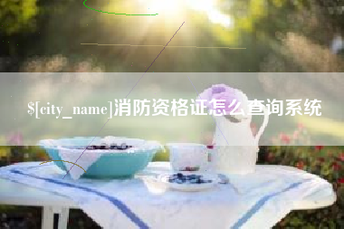 沅江消防资格证怎么查询系统