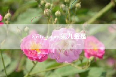 沅江第九金是