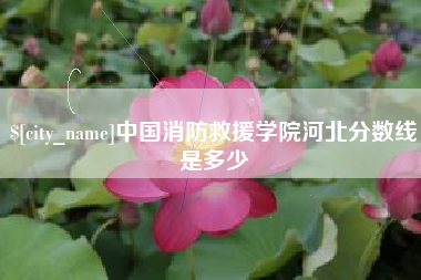 沅江中国消防救援学院河北分数线是多少