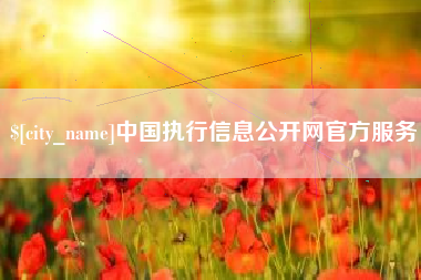沅江中国执行信息公开网官方服务