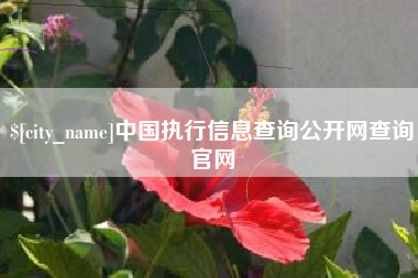 沅江中国执行信息查询公开网查询官网