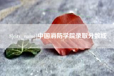 沅江中国消防学院录取分数线