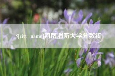 沅江河南消防大学分数线