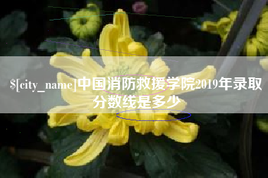 沅江中国消防救援学院2019年录取分数线是多少