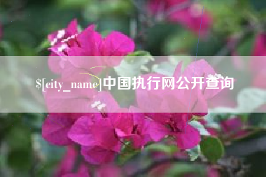 沅江中国执行网公开查询