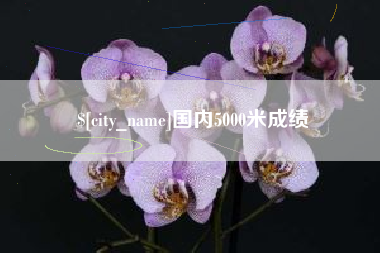 沅江国内5000米成绩