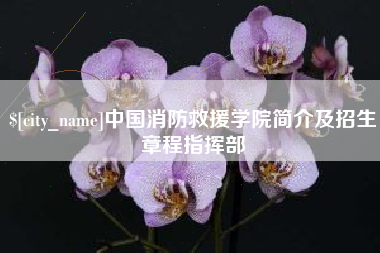 沅江中国消防救援学院简介及招生章程指挥部