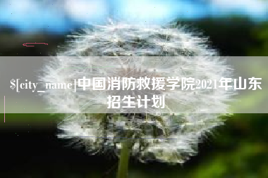 沅江中国消防救援学院2021年山东招生计划