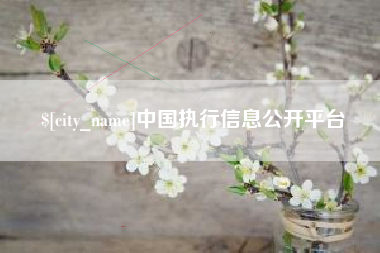 沅江中国执行信息公开平台