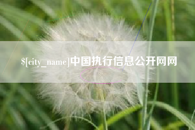沅江中国执行信息公开网网