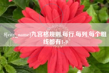 沅江九宫格规则,每行,每列,每个粗线都有1-9