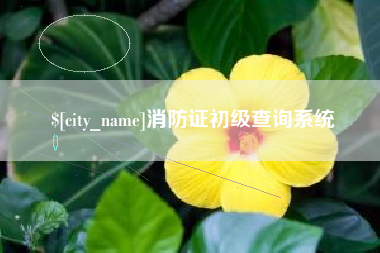 沅江消防证初级查询系统