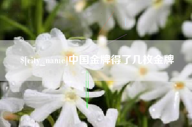 沅江中国金牌得了几枚金牌