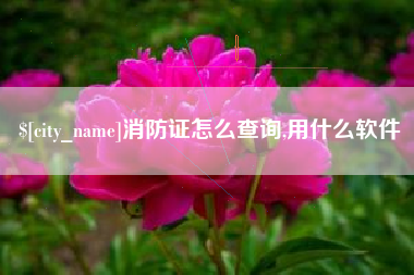 沅江消防证怎么查询,用什么软件
