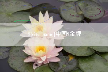 沅江中国9金牌