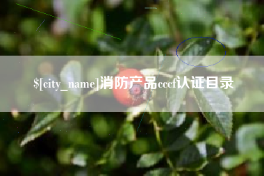 沅江消防产品cccf认证目录
