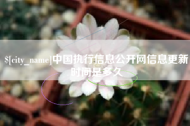 沅江中国执行信息公开网信息更新时间是多久