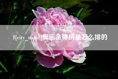 沅江奥运金牌榜是怎么排的