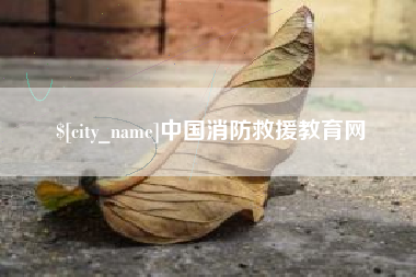 沅江中国消防救援教育网
