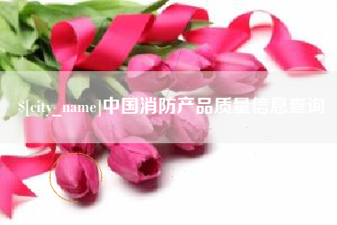 沅江中国消防产品质量信息查询