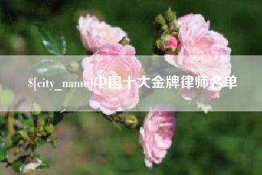 沅江中国十大金牌律师名单
