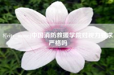 沅江中国消防救援学院对视力要求严格吗