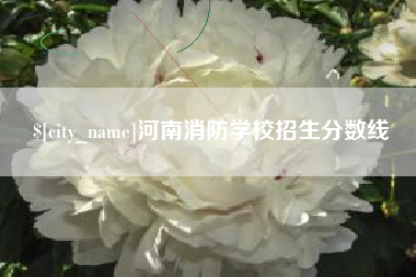 沅江河南消防学校招生分数线
