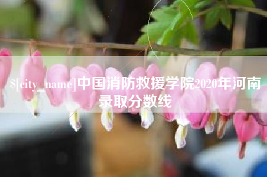 沅江中国消防救援学院2020年河南录取分数线