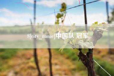 沅江中国队 冠军