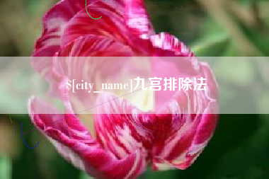 沅江九宫排除法