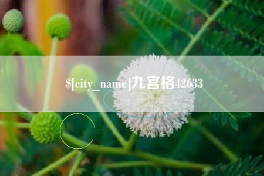 沅江九宫格42633