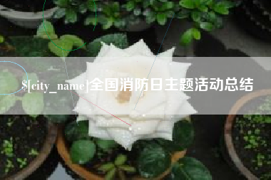 沅江全国消防日主题活动总结