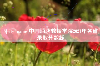 沅江中国消防救援学院2021年各省录取分数线