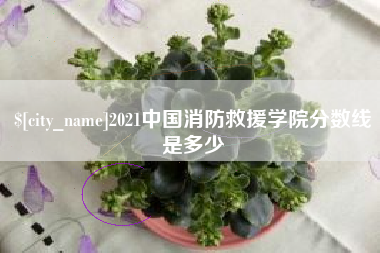 沅江2021中国消防救援学院分数线是多少