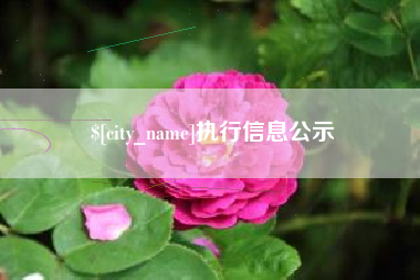 沅江执行信息公示