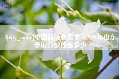 沅江中国消防救援学院2021年山东录取分数线是多少
