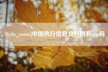 沅江中国执行信息公开网有app吗