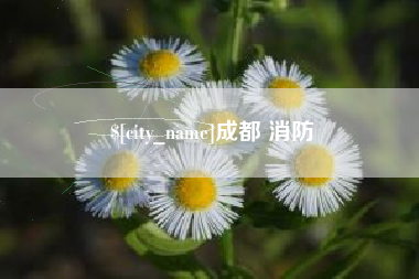 沅江成都 消防