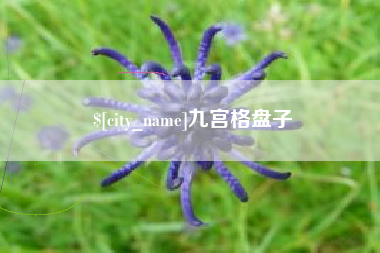 沅江九宫格盘子